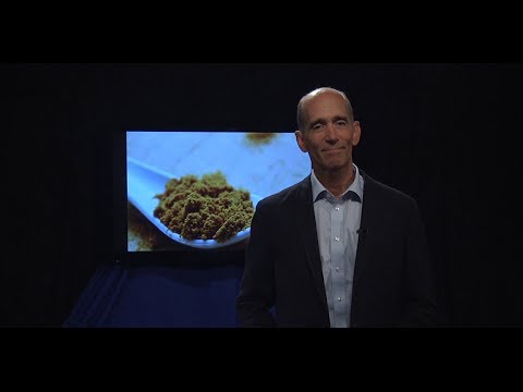 Dr. Mercola: The Wonders of Curcumin